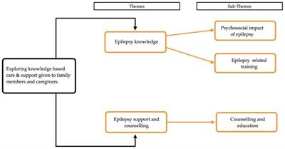 Exploration of health care providers' knowledge-based care and support given to family members and caregivers of people living with epilepsy